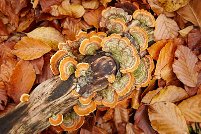 Croatia's Cascading Lakes
